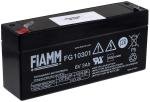 Acumulator FIAMM FG10301