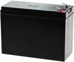 Acumulator KungLong compatibil 6-HDZM-10 / 6-FM-10 12 Volt 10Ah (rezistent la cicluri) 1