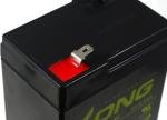 Acumulator KungLong WP4.5-6 compatibil FIAMM model FG10451 2